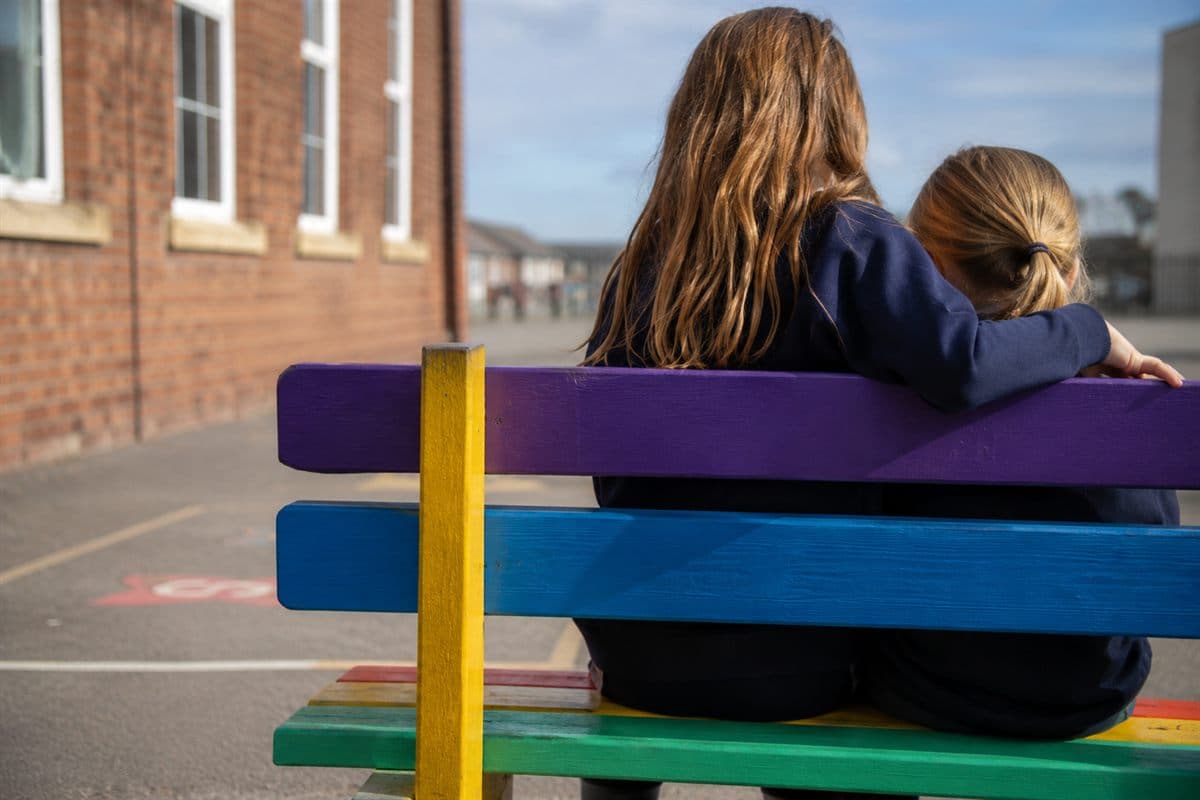 A brightly painted buddy bench in a school playground.